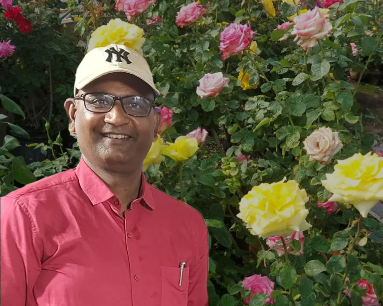 कोकोपीट में गुलाब उगाना